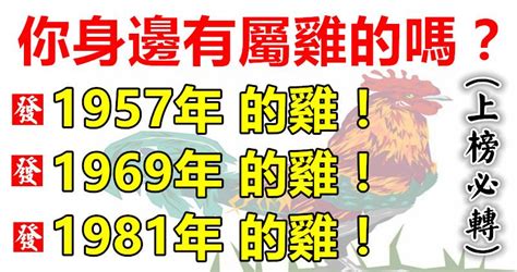 1981屬雞運勢|【81年屬】超強解密！1981年屬雞是什麼命 格局如何全解析